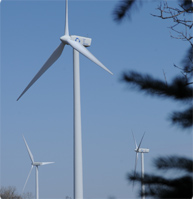 wind_farm