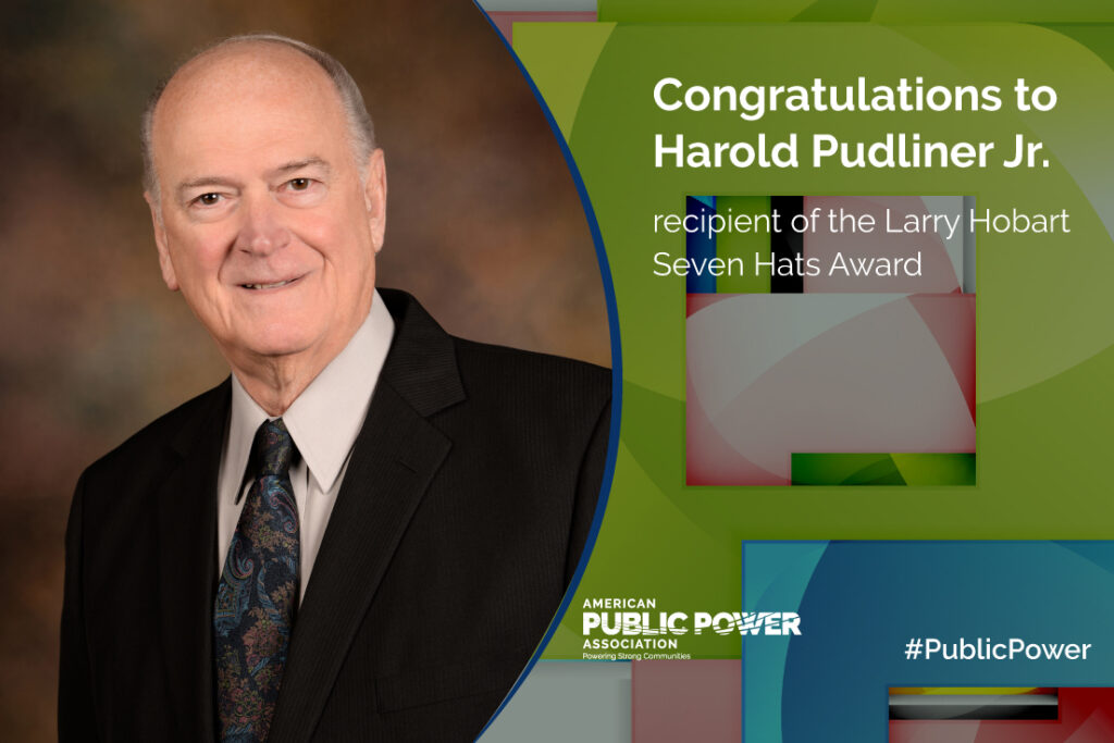 Pudliner Honored with National Leadership Award